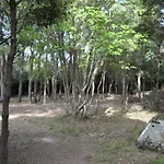 La Milange De Vecchio